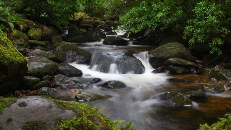ring-of-kerry-full-day-tour-from-limerick