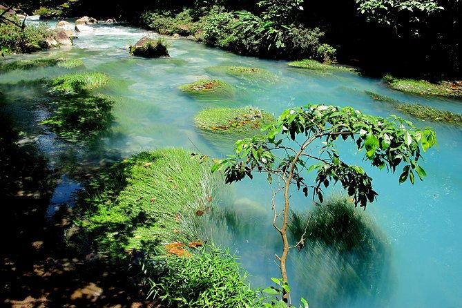 rio-celeste-full-day-tour-from-la-fortuna