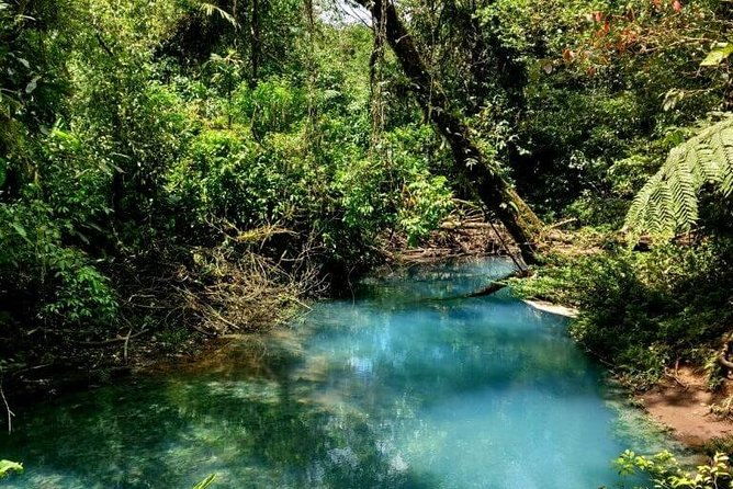 rio-celeste-full-day-tour-from-la-fortuna