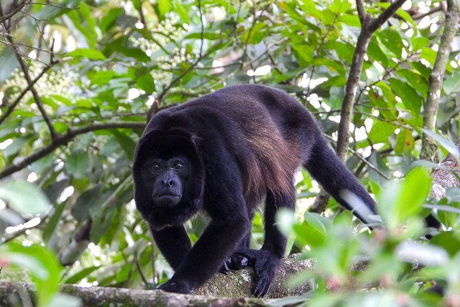 rio-celeste-national-park-visit-to-the-malekus-indigenous-village