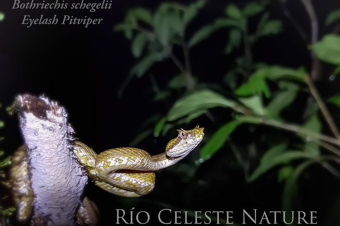 rio-celeste-nature-night-walk