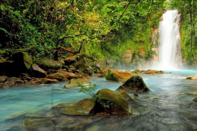rio-celeste-tenorio-volcano-and-sloth-watching-tour-from-guanacaste