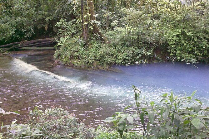 rio-celeste-waterfall-and-sloth-sactuary-full-day-tour-with-lunch
