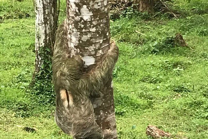 rio-celeste-waterfall-and-sloth-sanctuary-experience