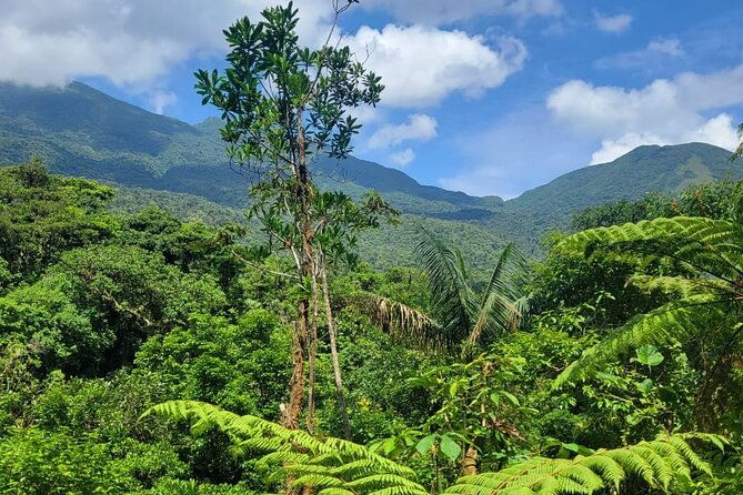 rio-celeste-waterfall-peace-tree-encounter-sloth-adventure