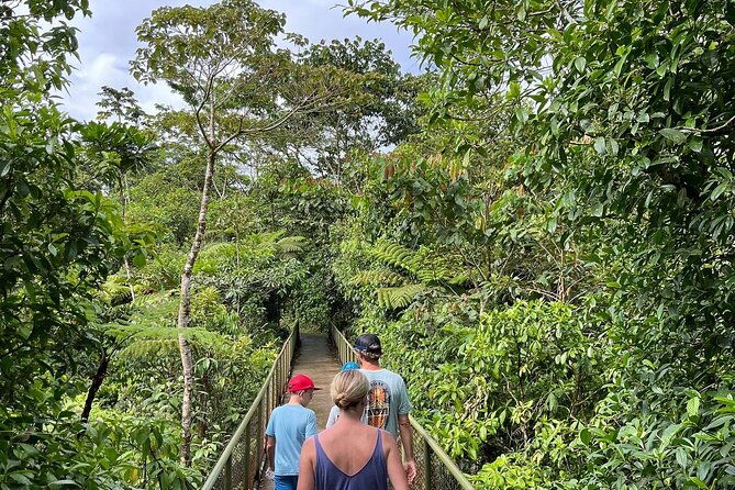 rio-celeste-waterfall-plus-sloths-and-wildlife-sanctuary