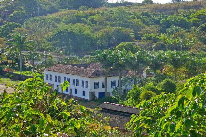 rio-de-janeiro-between-history-and-nature-the-charm-of-the-coffee-valley