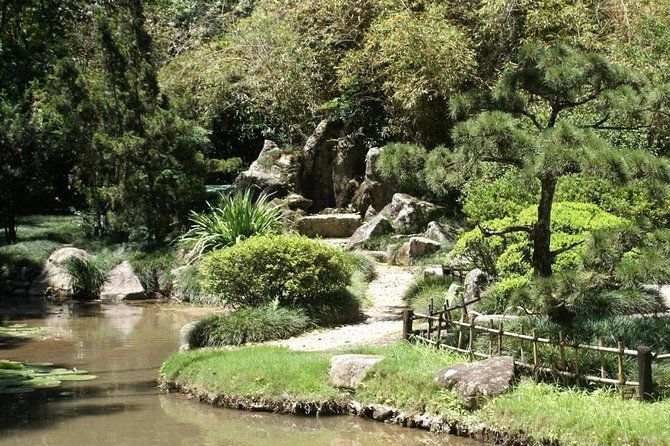 rio-de-janeiro-botanical-garden-tour