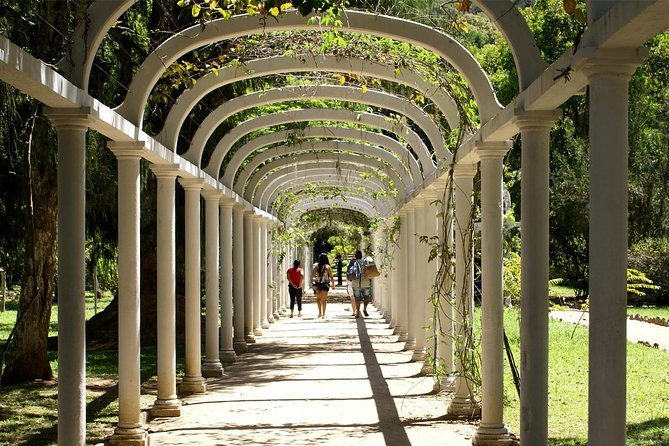 rio-de-janeiro-botanical-garden-tour
