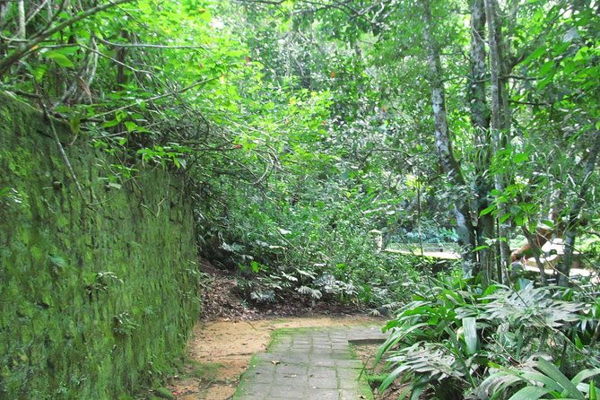 rio-de-janeiro-jeep-tour-to-tijuca-forest
