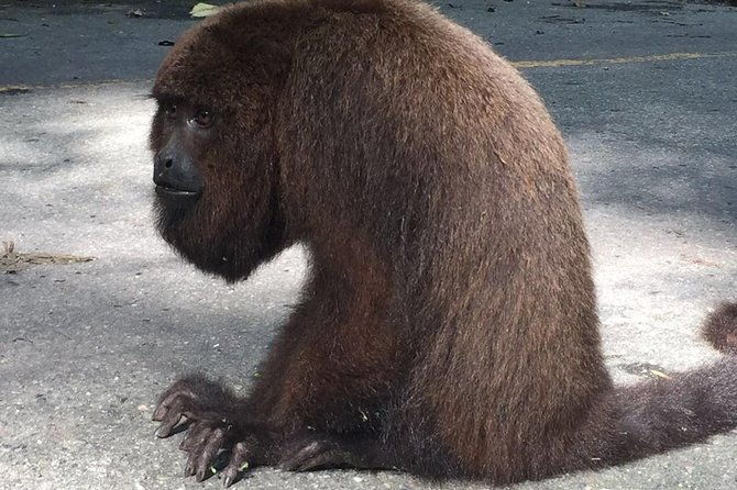 rio-de-janeiro-private-full-day-custom-tours