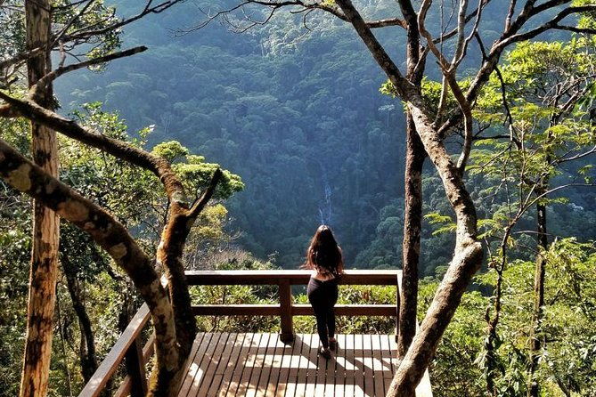 rio-in-one-day-private-tour-with-christ-the-redeemer-by-train