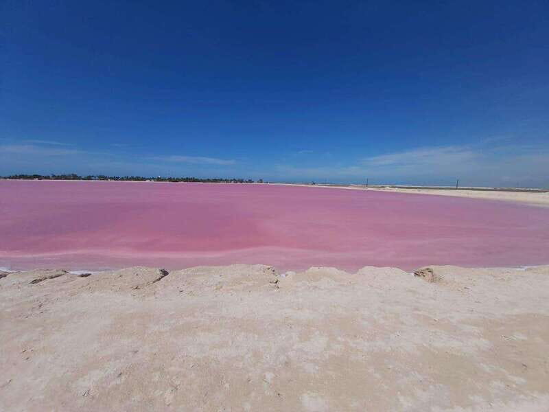 Rio Lagartos and Las Coloradas: EcoSafari Flamingo Delux - Key Points