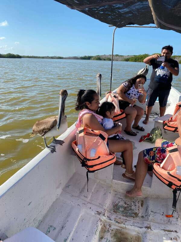 Rio Lagartos and Las Coloradas: EcoSafari Flamingo Delux - FAQ