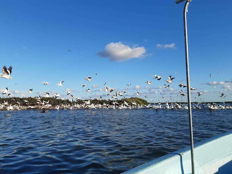 Rio Lagartos and San Felipe: Isla Cerritos, Cenote Kambulnah and Pesca. - Analyzing the Value and Practical Aspects