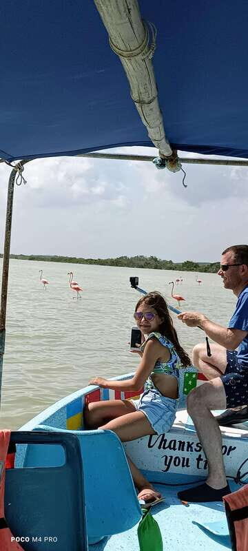 Río Lagartos: Flamingo Safari and Las Coloradas Tour - Why This Tour Works for Travelers
