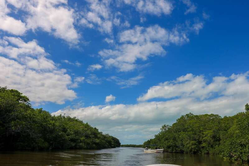 rio-lagartos-river-boat-tour-with-natural-mayan-bath