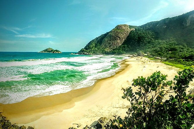 rio-nature-secrets-the-eco-citytour-small-group-or-private