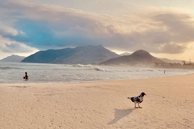 rio-private-tour-with-english-guide