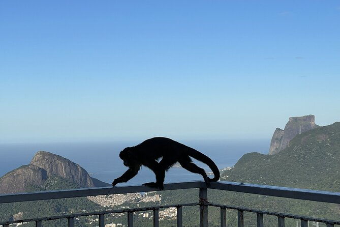 rio-private-tour-with-english-guide
