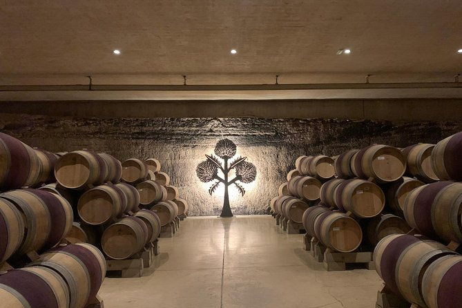 rioja-alavesa-wineries-and-medieval-villages-day-trip