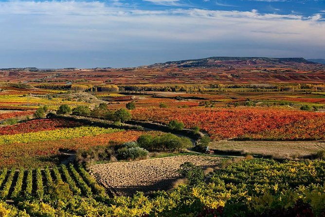 rioja-alavesa-wineries-and-medieval-villages-day-trip