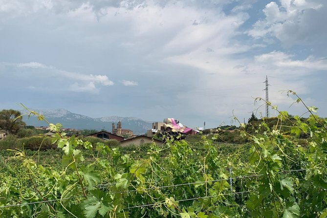 rioja-alavesa-wineries-and-medieval-villages-day-trip