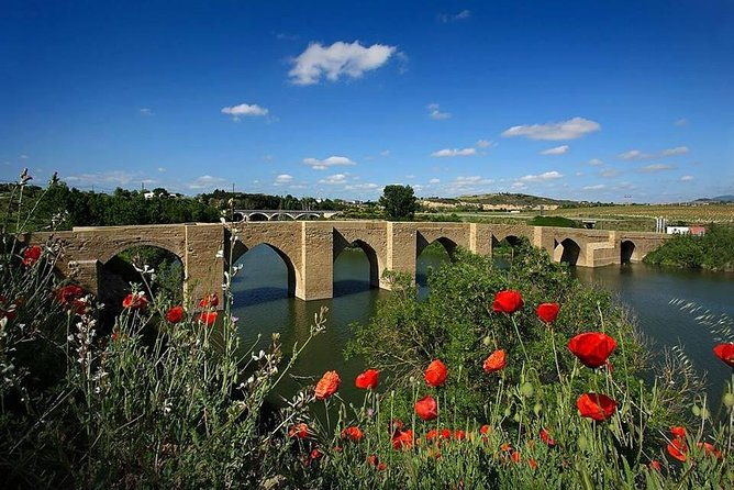 rioja-alavesa-wineries-and-medieval-villages-day-trip