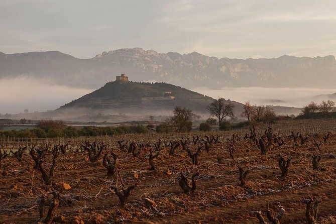 rioja-alavesa-wineries-and-medieval-villages-day-trip