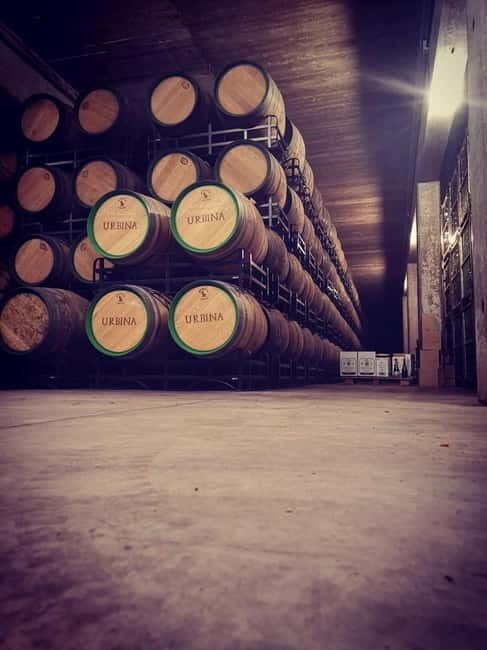 Rioja Day Tour: Explore Three Wineries with Tastings - Key Points