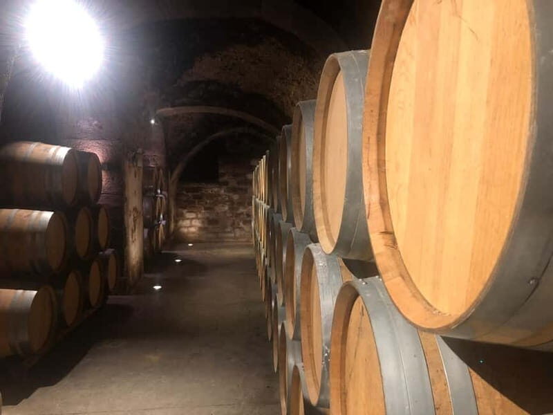 Rioja Day Tour: Explore Three Wineries with Tastings - Wine Tasting: A Highlight of the Day