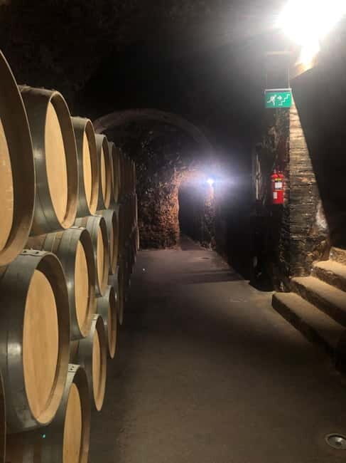 Rioja Day Tour: Explore Three Wineries with Tastings - Logistics and Practical Details