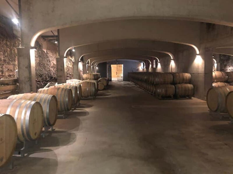 Rioja Day Tour: Explore Three Wineries with Tastings - Who Will Love This Tour?