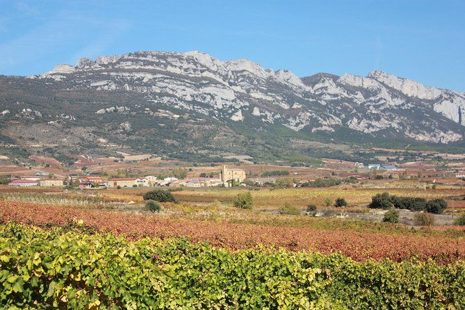 rioja-full-experience-tour-from-san-sebastian-with-lunch