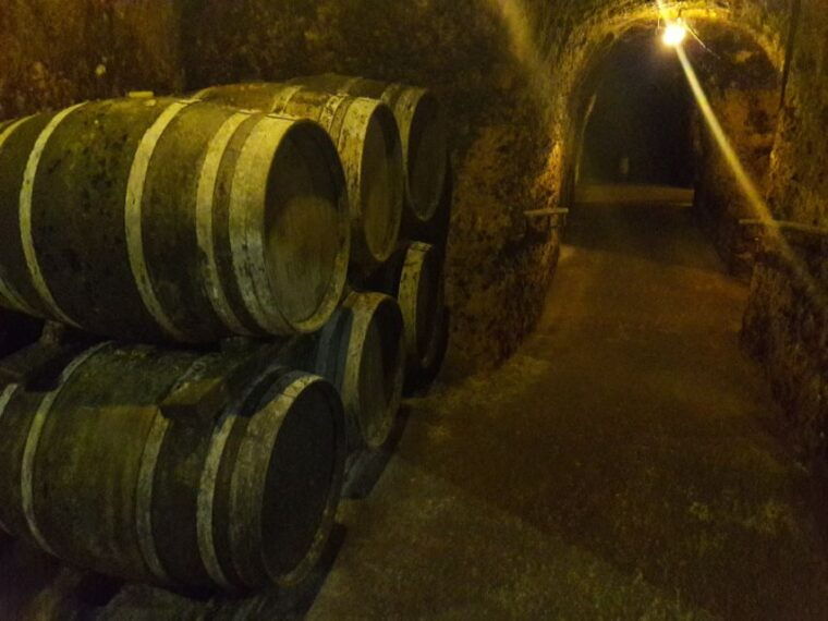 rioja-private-wine-tasting-tour
