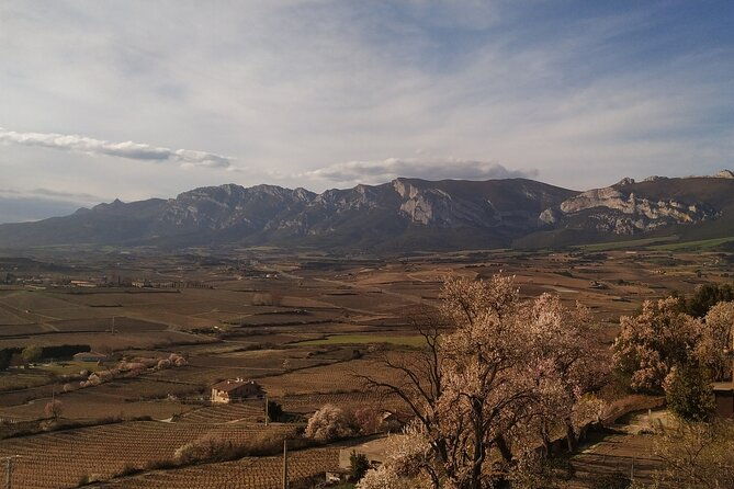 rioja-wine-country-day-trip