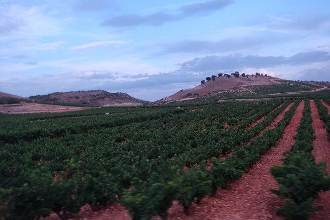 rioja-wine-country-day-trip