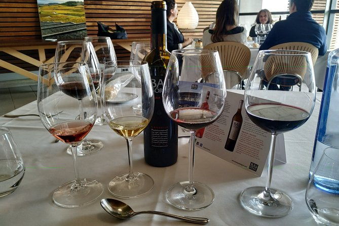 rioja-wine-country-day-trip