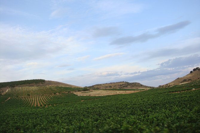 rioja-wine-country-day-trip