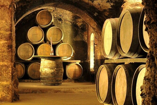 rioja-wine-region-with-visit-to-winery-vitoria-gasreiz