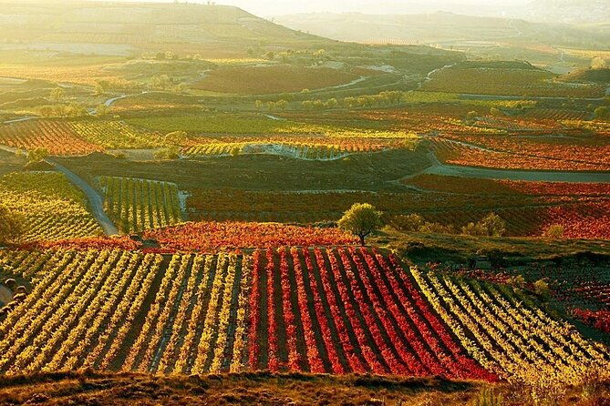 rioja-wine-region-with-visit-to-winery-vitoria-gasreiz