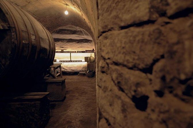 Rioja Wine Route with winery owner - An Overview of the Rioja Wine Route Experience