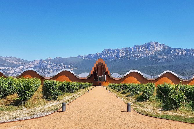 Rioja Wine Route with winery owner - Who Is This Tour Best For?