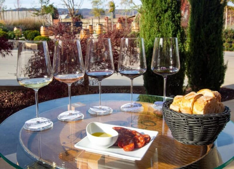rioja-wine-tasting-and-sampling-at-the-martinez-alesanco-family-winery