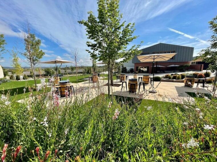 rioja-wine-tasting-and-sampling-at-the-martinez-alesanco-family-winery