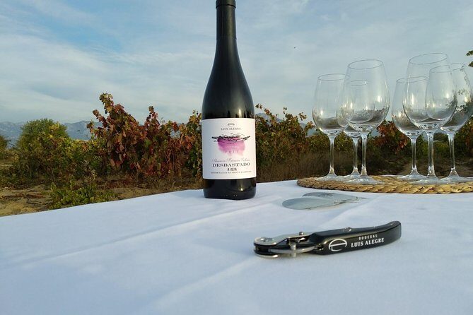 Rioja Wine Tour: Winery & Traditional Lunch From Bilbao - What Could Be Better