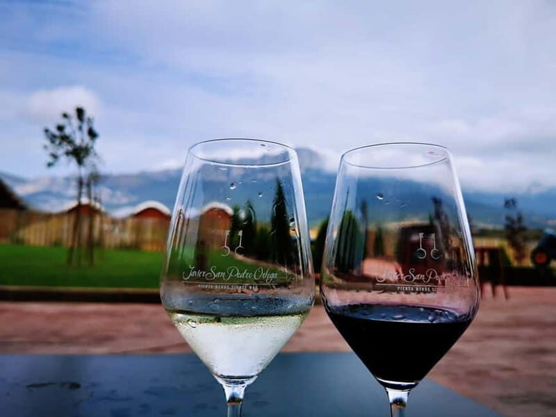 Rioja: Wine Tour with a Local Expert with Tastings - Who Should Consider This Tour?