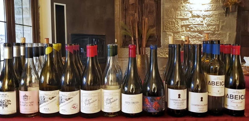 RIOJA: WINE TOUR WITH A WINERY OWNER - An In-Depth Look at the Rioja Wine Tour with a Winery Owner  
