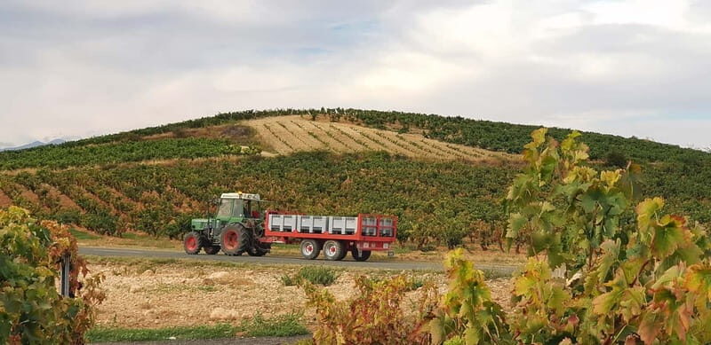 RIOJA: WINE TOUR WITH A WINERY OWNER - The Sum Up  