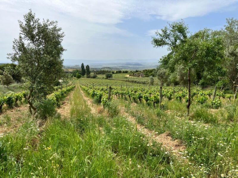 rioja-wineries-vip-tour